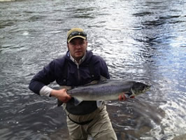 tay salmon