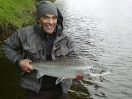 tay salmon