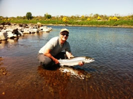 tay salmon