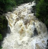 The Hermitage Dunkeld