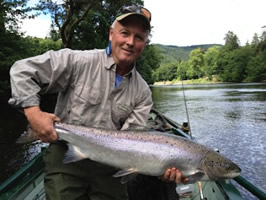 tay salmon