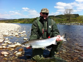 tay salmon