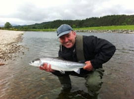tay salmon