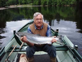 tay salmon