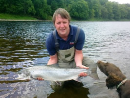 tay salmon