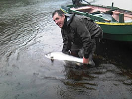 tay salmon