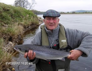 tay salmon