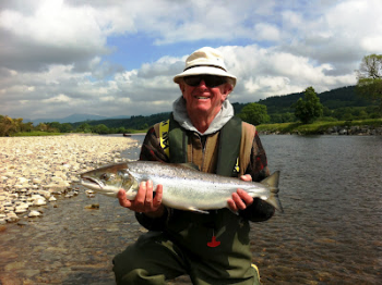 tay salmon