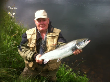 tay salmon